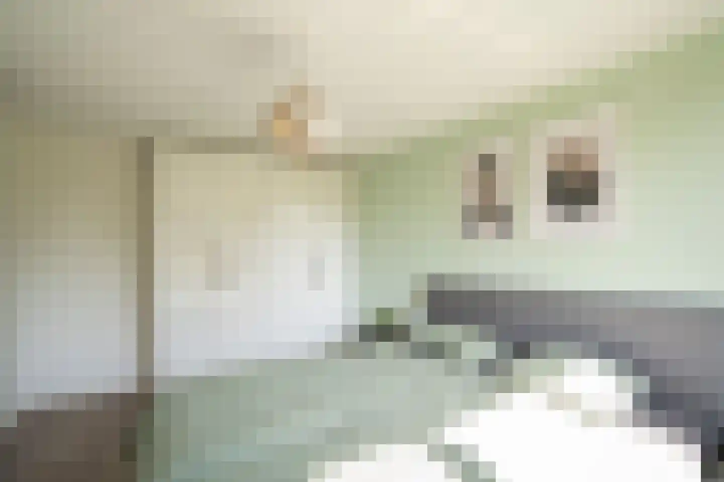 Jan Snouckstraat 9 Schelluinen thumbnail 20