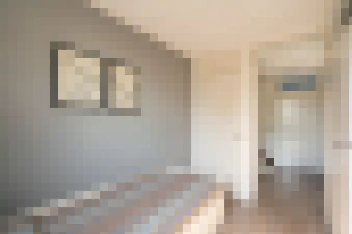 Jan Snouckstraat 9 Schelluinen thumbnail 23