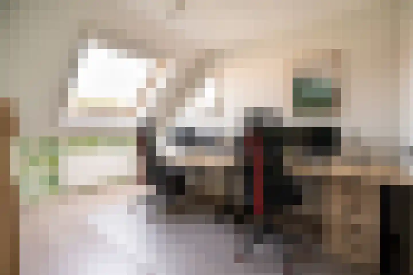 Jan Snouckstraat 9 Schelluinen thumbnail 24