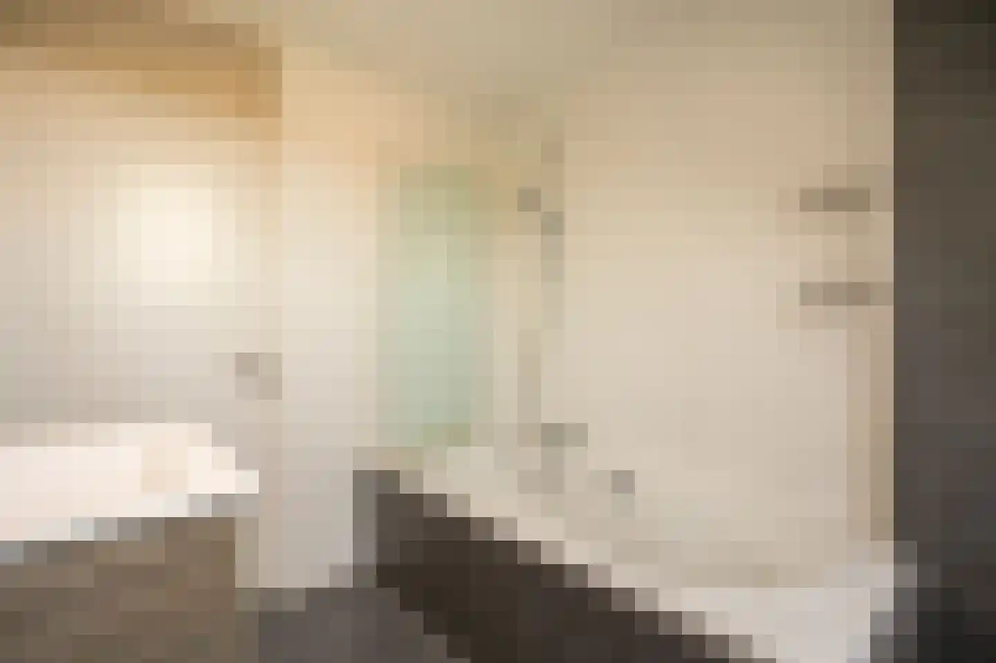 Jan Snouckstraat 9 Schelluinen thumbnail 27