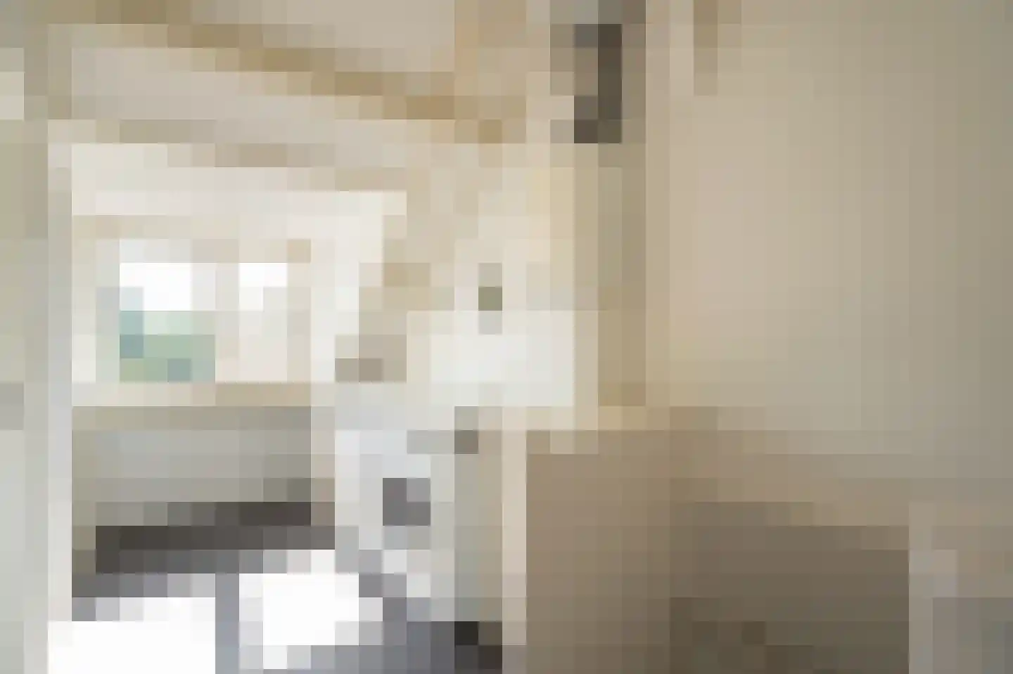 Jan Snouckstraat 9 Schelluinen thumbnail 30