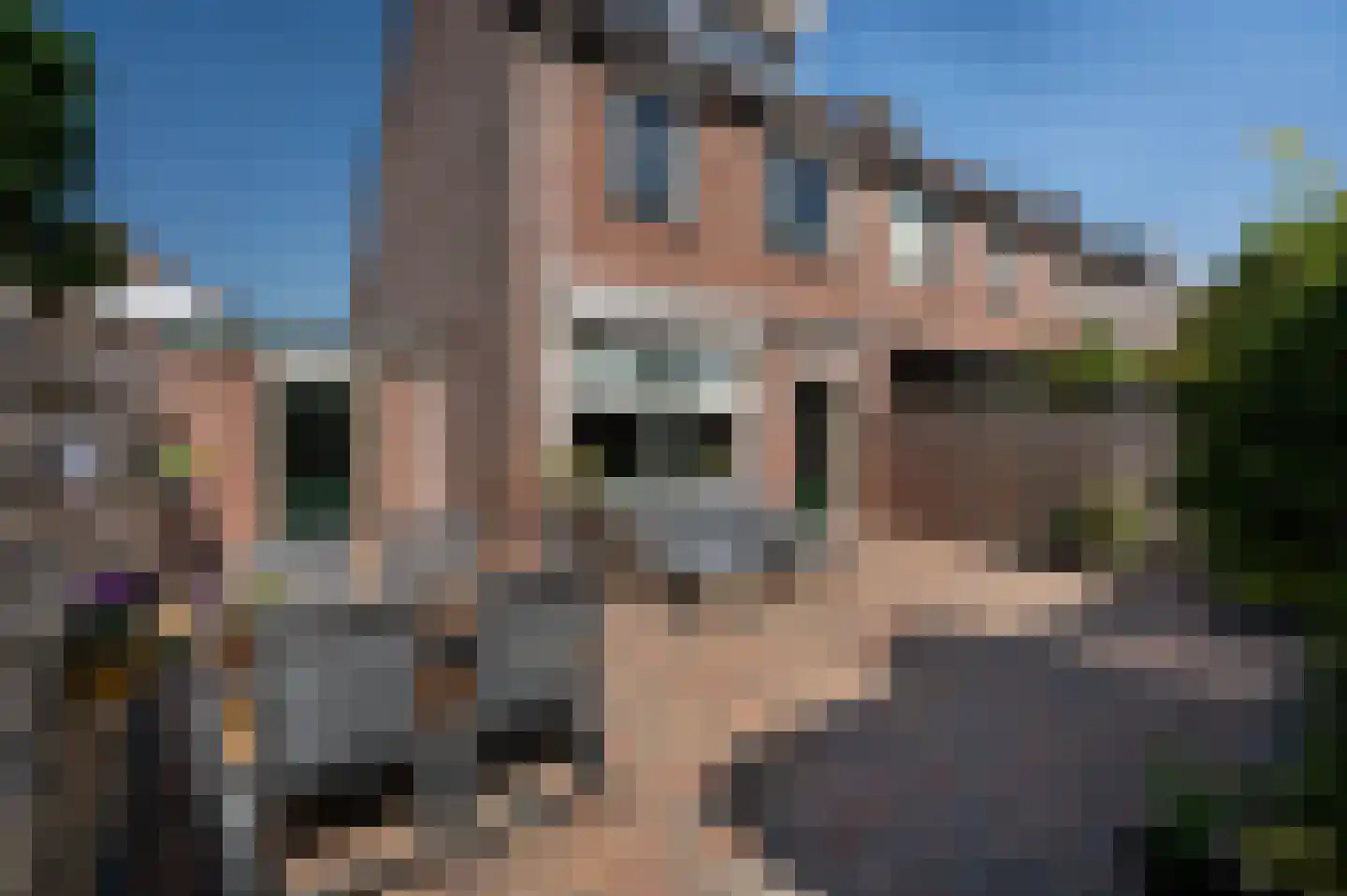 Jan Snouckstraat 9 Schelluinen thumbnail 35