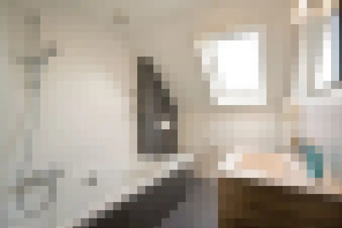 Jan Snouckstraat 9 Schelluinen thumbnail 4