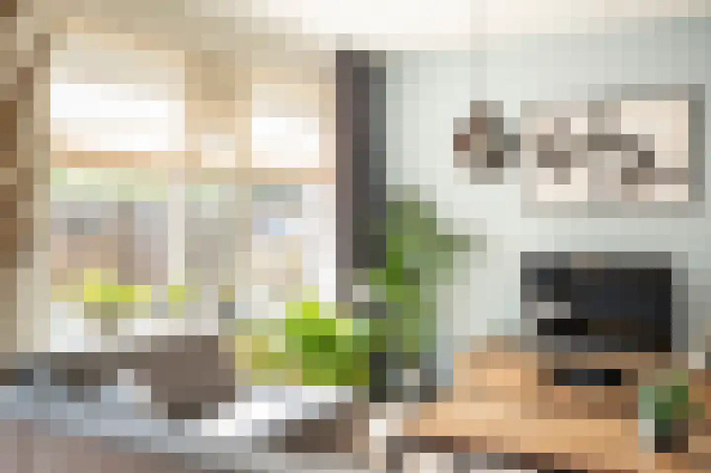 Jan Snouckstraat 9 Schelluinen thumbnail 9
