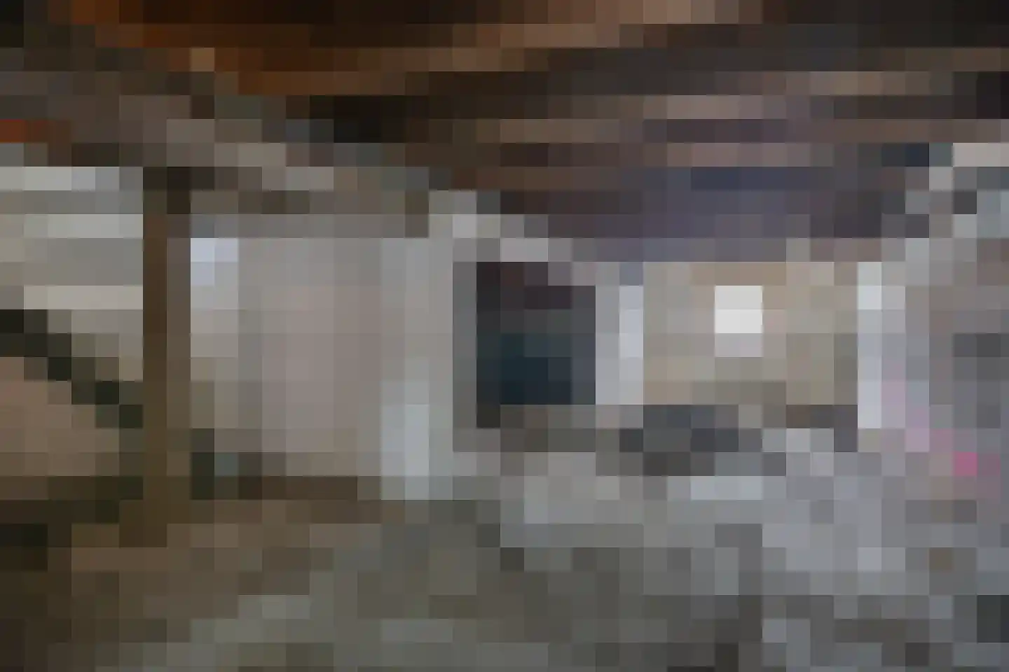 Jan Sonjéstraat 13 B Rotterdam thumbnail 34