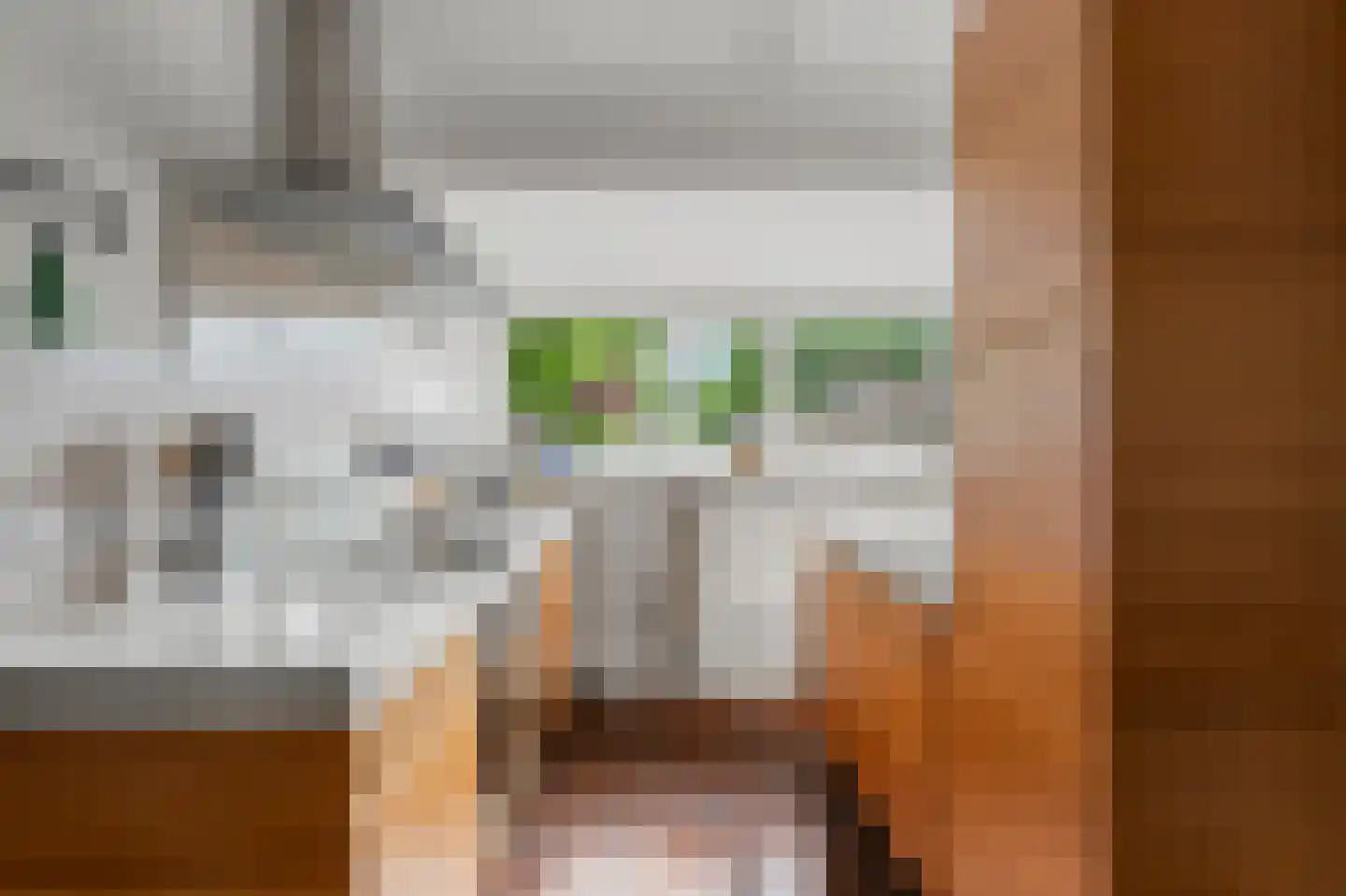 Jan Springerhof 14 Amsterdam thumbnail 11