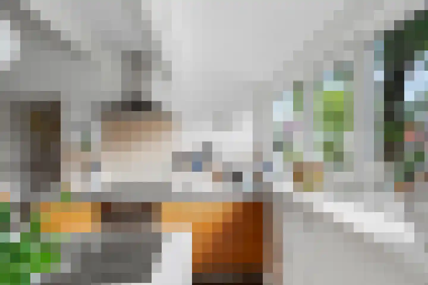 Jan Springerhof 14 Amsterdam thumbnail 12