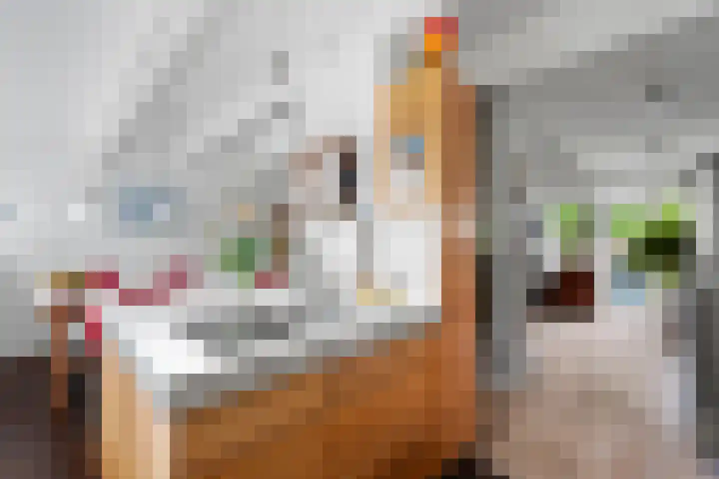 Jan Springerhof 14 Amsterdam thumbnail 13
