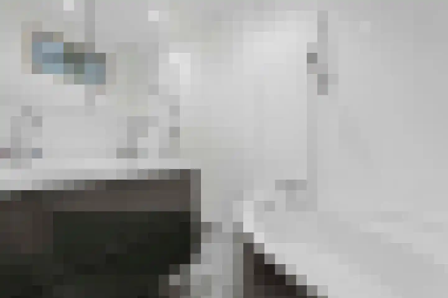 Jan Springerhof 14 Amsterdam thumbnail 15
