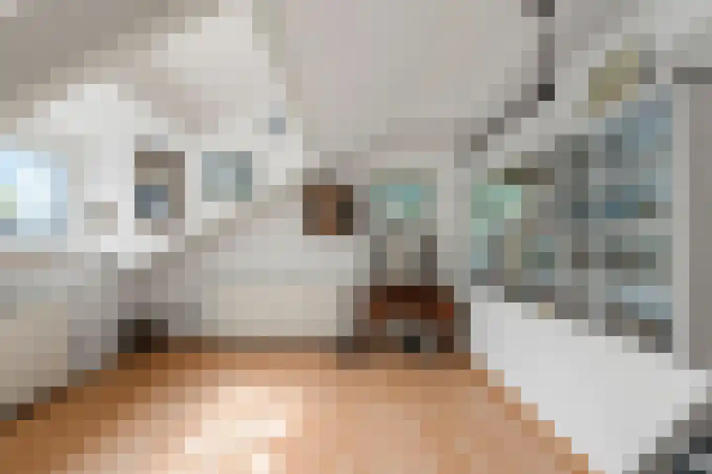 Jan Springerhof 14 Amsterdam thumbnail 20