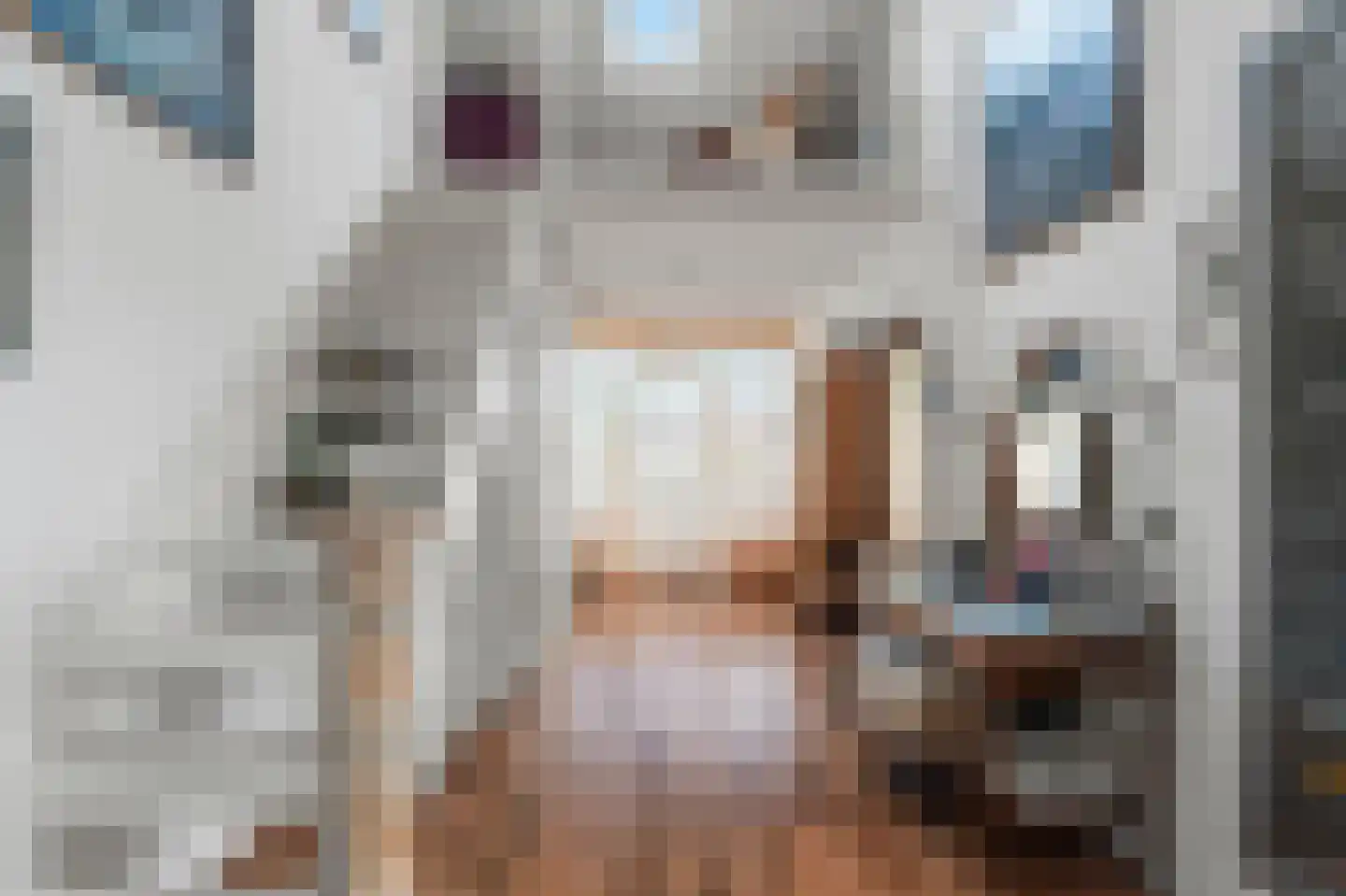 Jan Springerhof 14 Amsterdam thumbnail 24