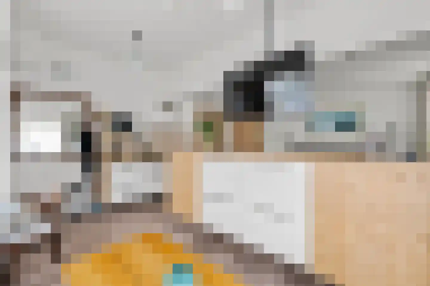 Jan Springerhof 14 Amsterdam thumbnail 33