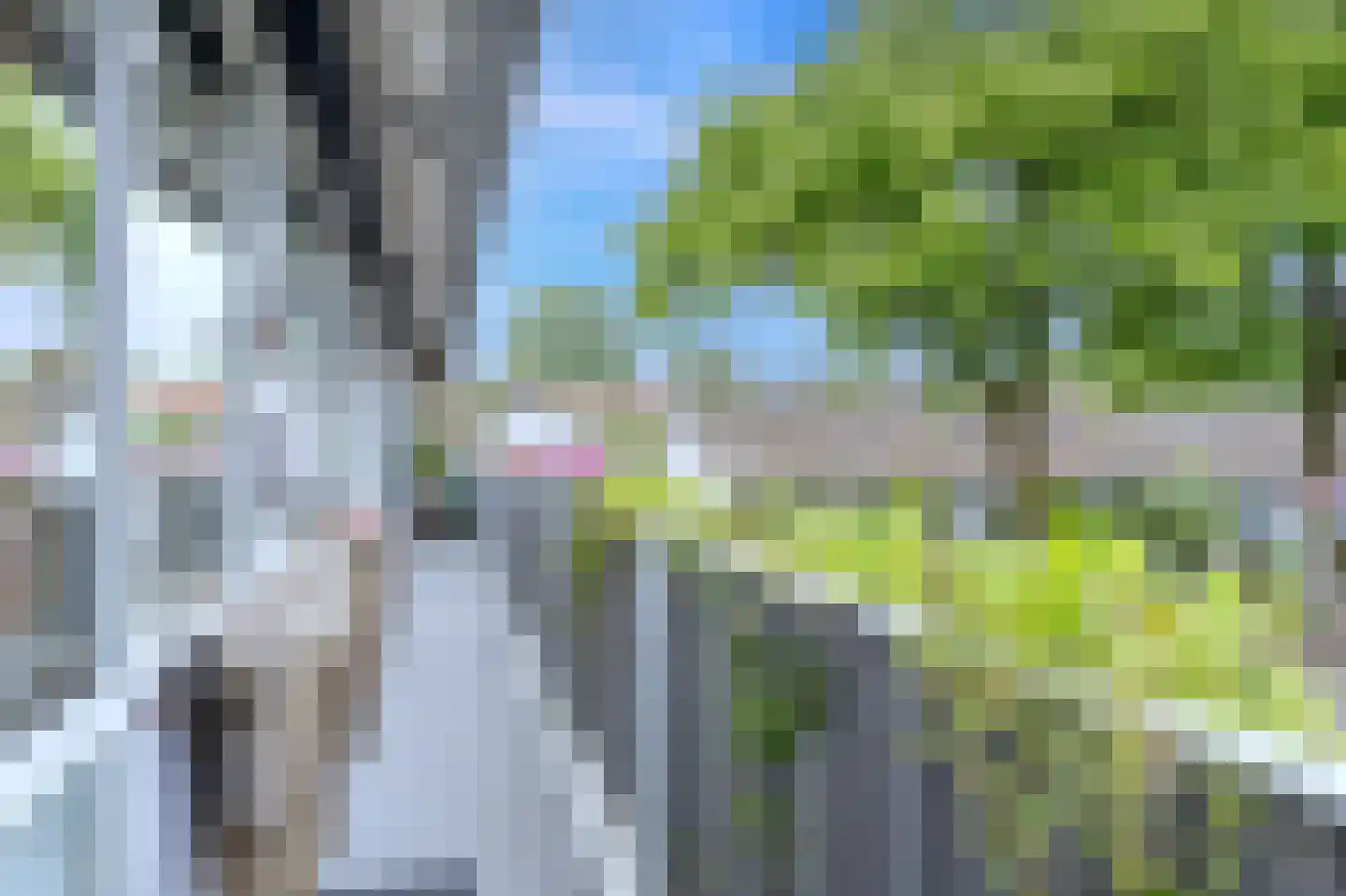 Jan Springerhof 14 Amsterdam thumbnail 39