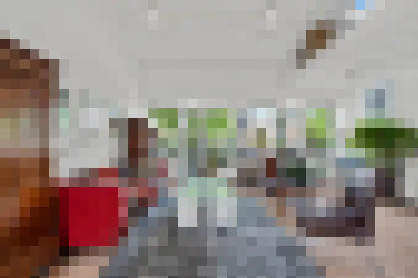 Jan Springerhof 14 Amsterdam thumbnail 4
