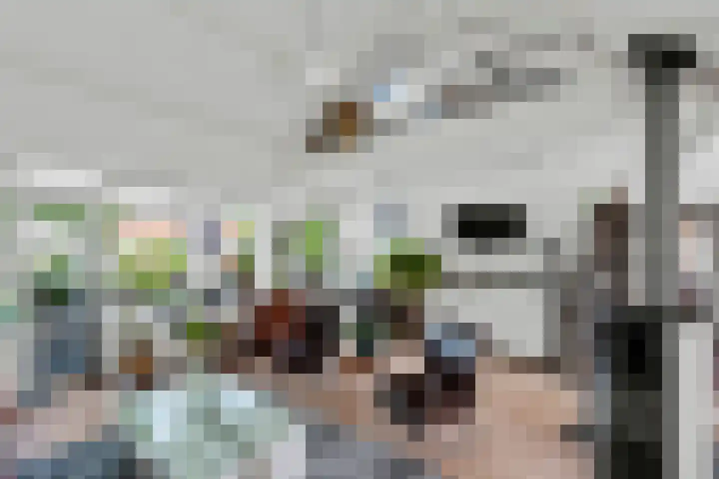 Jan Springerhof 14 Amsterdam thumbnail 5