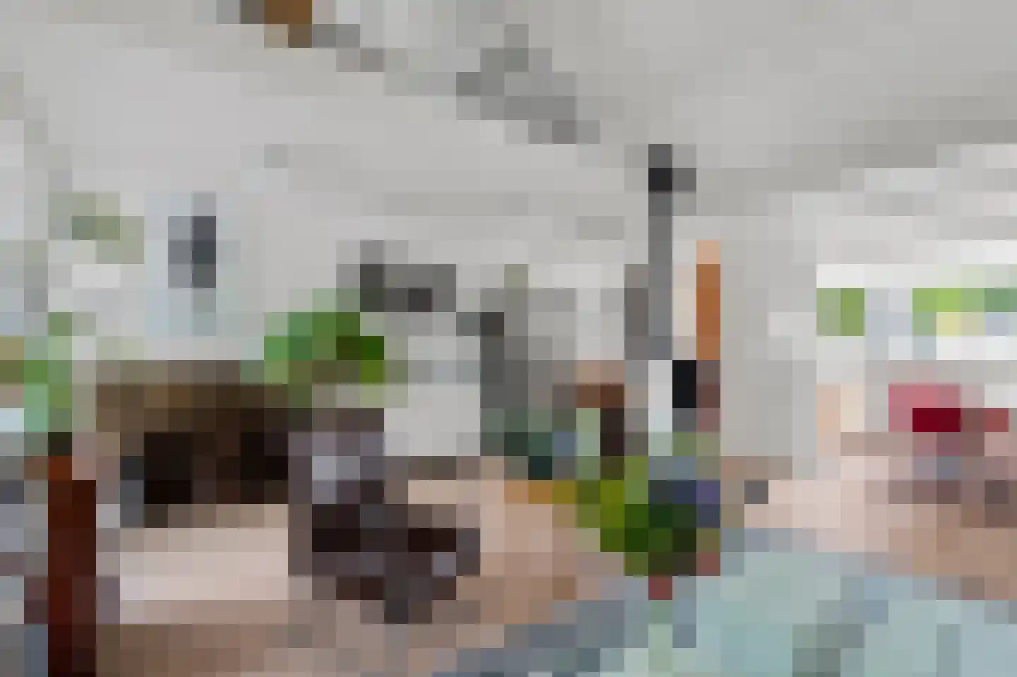 Jan Springerhof 14 Amsterdam thumbnail 6