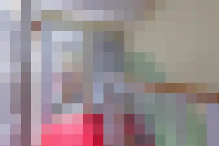 Jan Springerhof 37 Amsterdam thumbnail 11