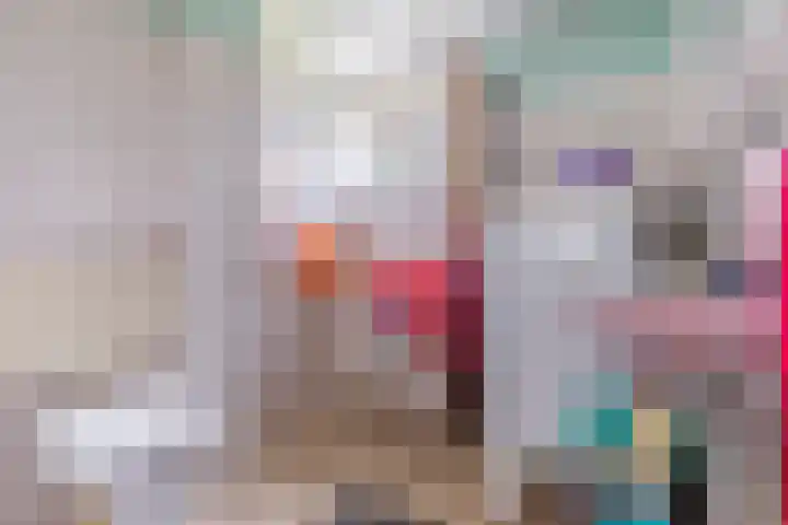 Jan Springerhof 37 Amsterdam thumbnail 17