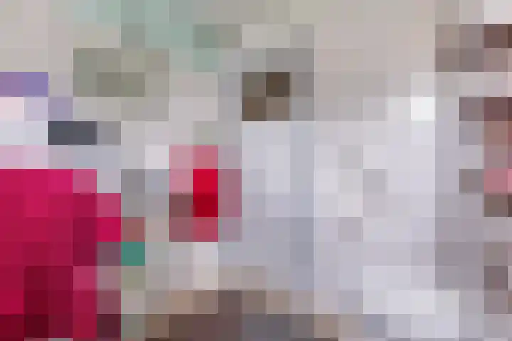 Jan Springerhof 37 Amsterdam thumbnail 18