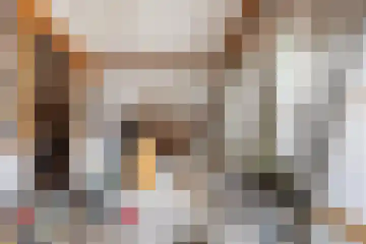 Jan Springerhof 37 Amsterdam thumbnail 22