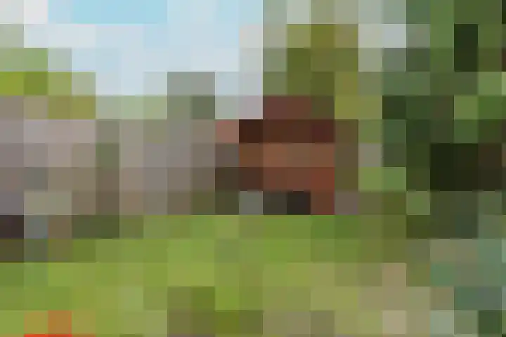 Jan Springerhof 37 Amsterdam thumbnail 25