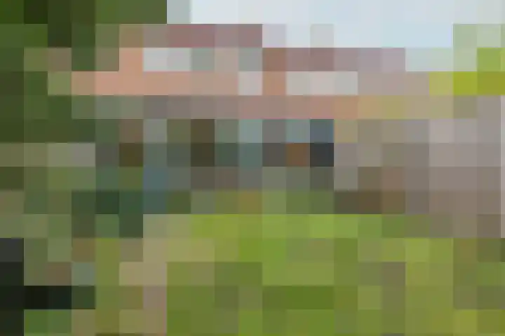 Jan Springerhof 37 Amsterdam thumbnail 26