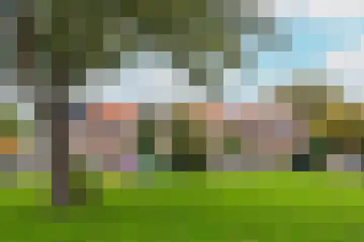 Jan Springerhof 37 Amsterdam thumbnail 28