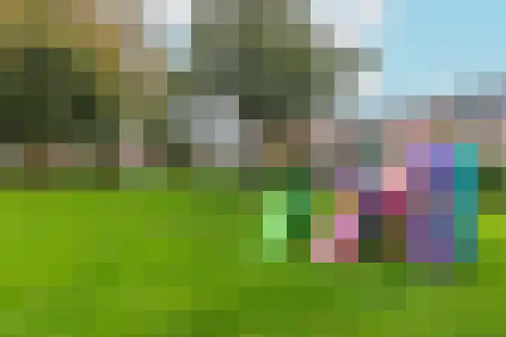 Jan Springerhof 37 Amsterdam thumbnail 29