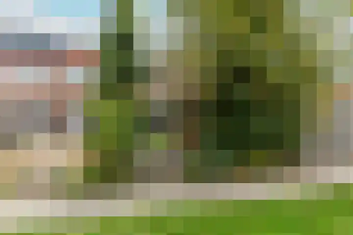 Jan Springerhof 37 Amsterdam thumbnail 31