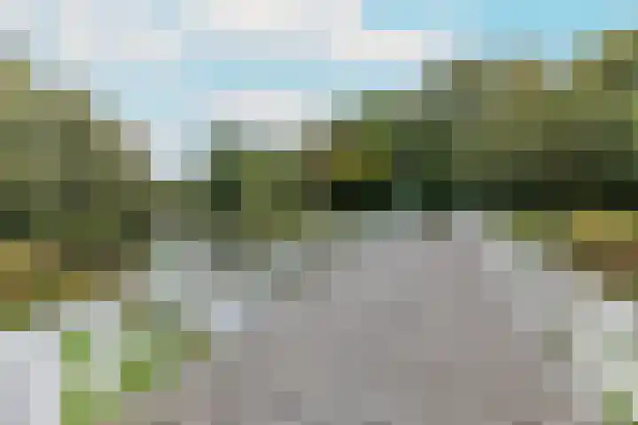 Jan Springerhof 37 Amsterdam thumbnail 32