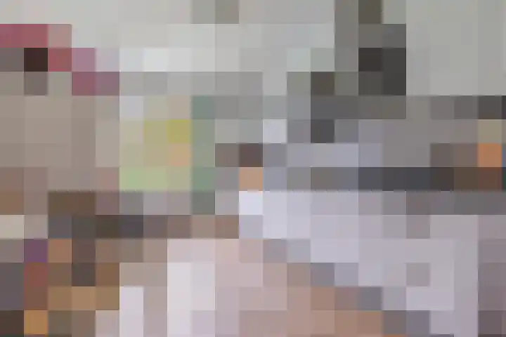 Jan Springerhof 37 Amsterdam thumbnail 9