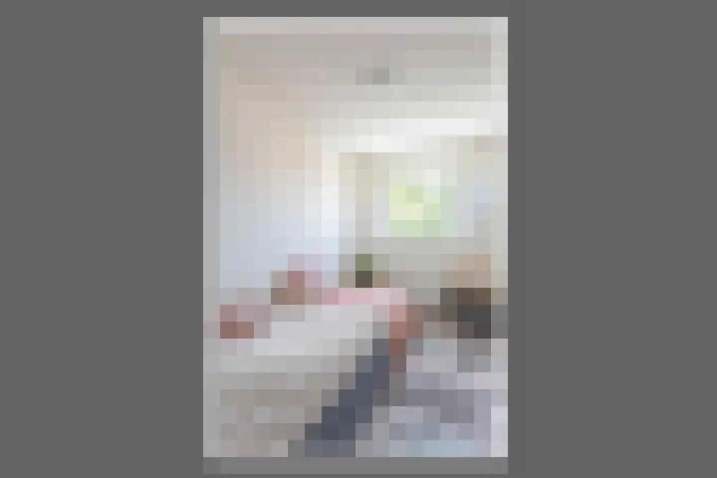 Jan Springerhof 41 Amsterdam thumbnail 20