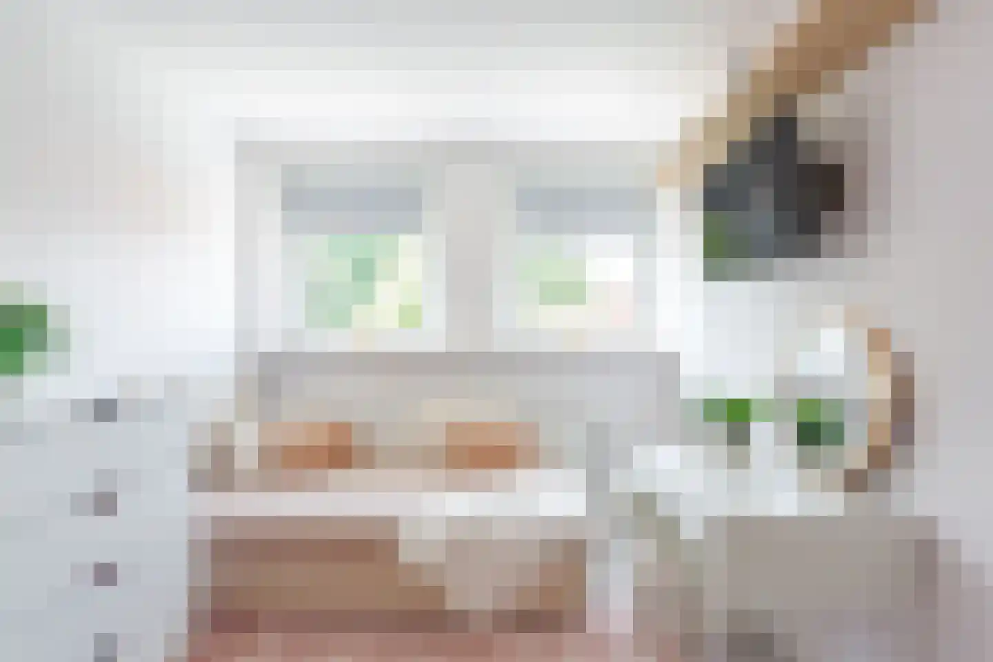 Jan Springerhof 41 Amsterdam thumbnail 25