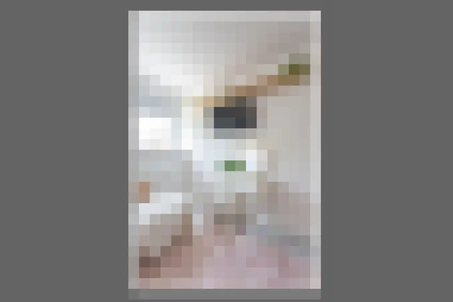 Jan Springerhof 41 Amsterdam thumbnail 26