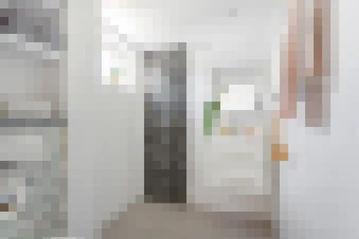 Jan Springerhof 41 Amsterdam thumbnail 28