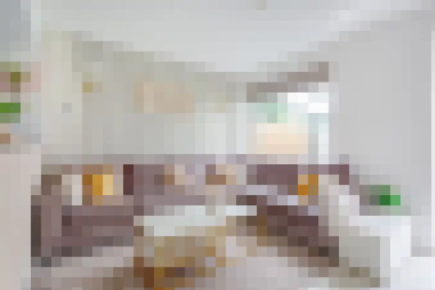 Jan Springerhof 41 Amsterdam thumbnail 4