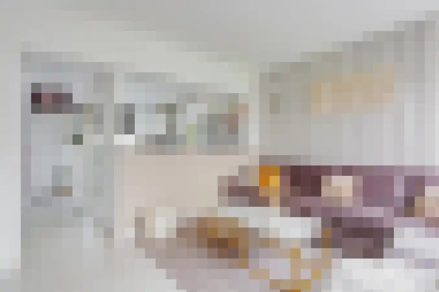 Jan Springerhof 41 Amsterdam thumbnail 7