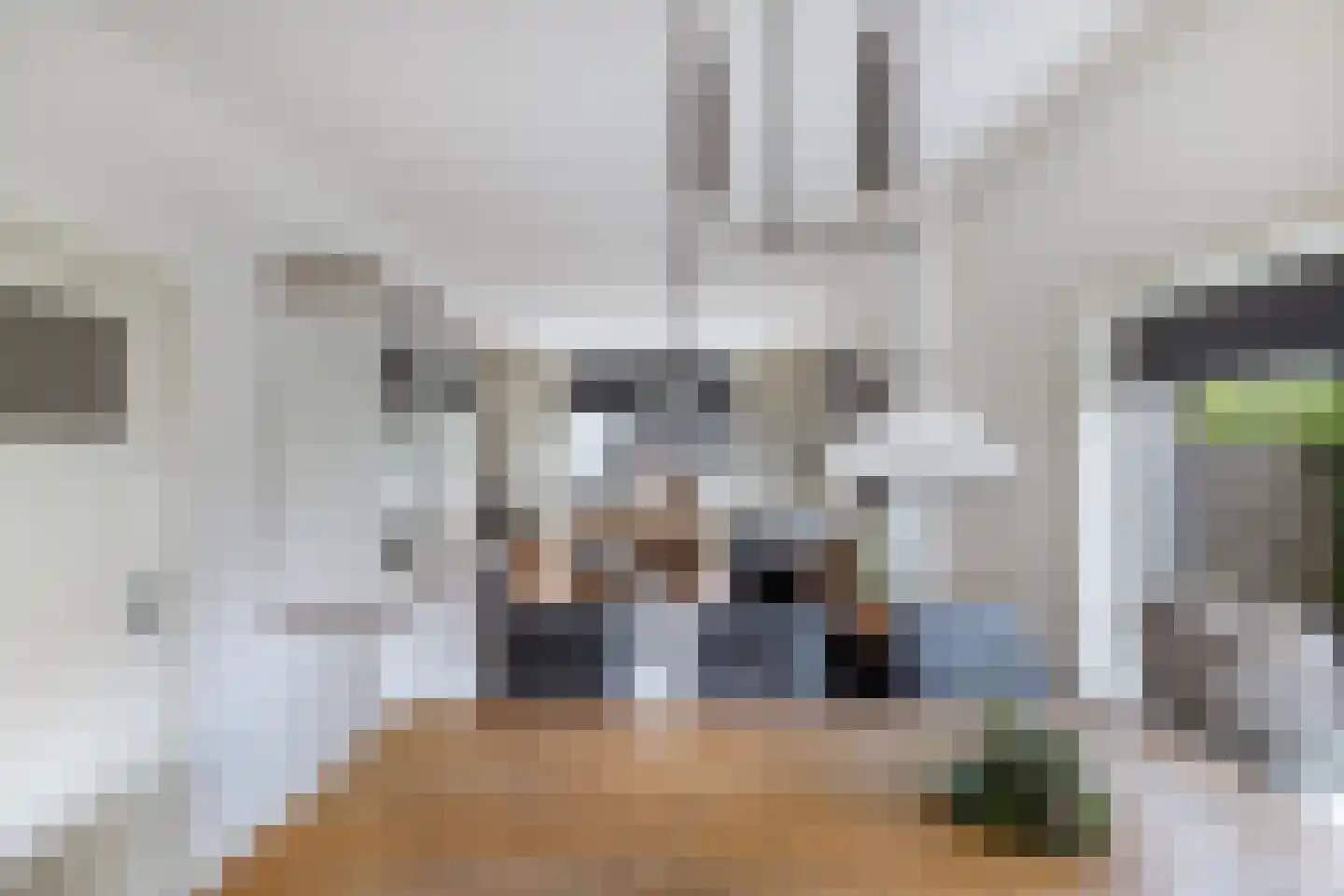 Jan Stapertlaan 1 Franeker thumbnail 19