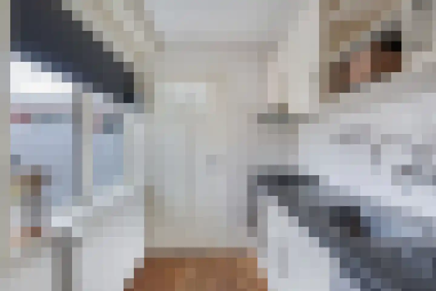 Jan Stapertlaan 1 Franeker thumbnail 21