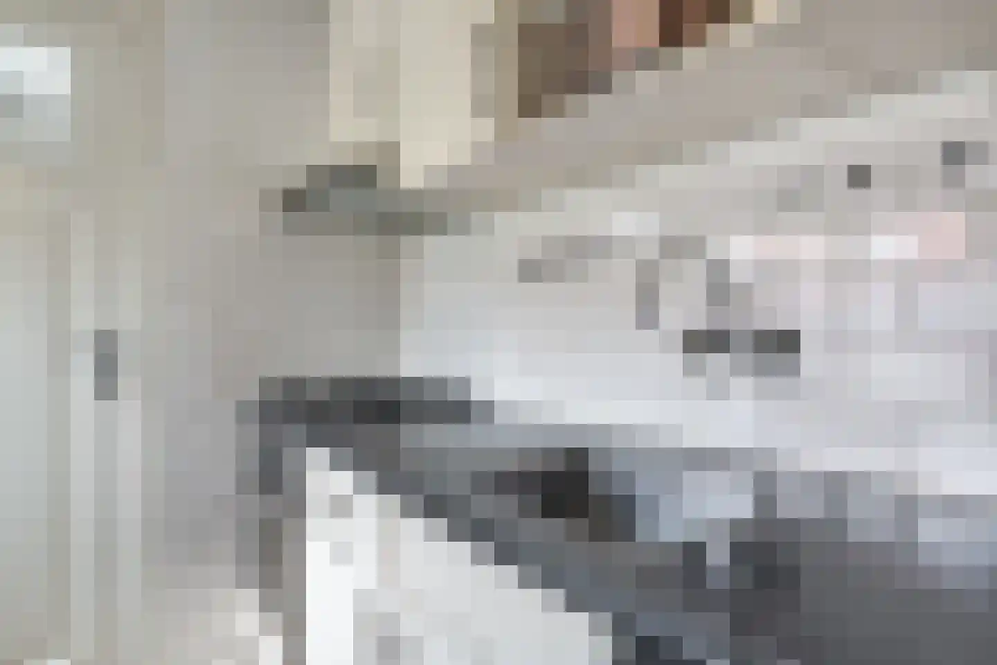 Jan Stapertlaan 1 Franeker thumbnail 22