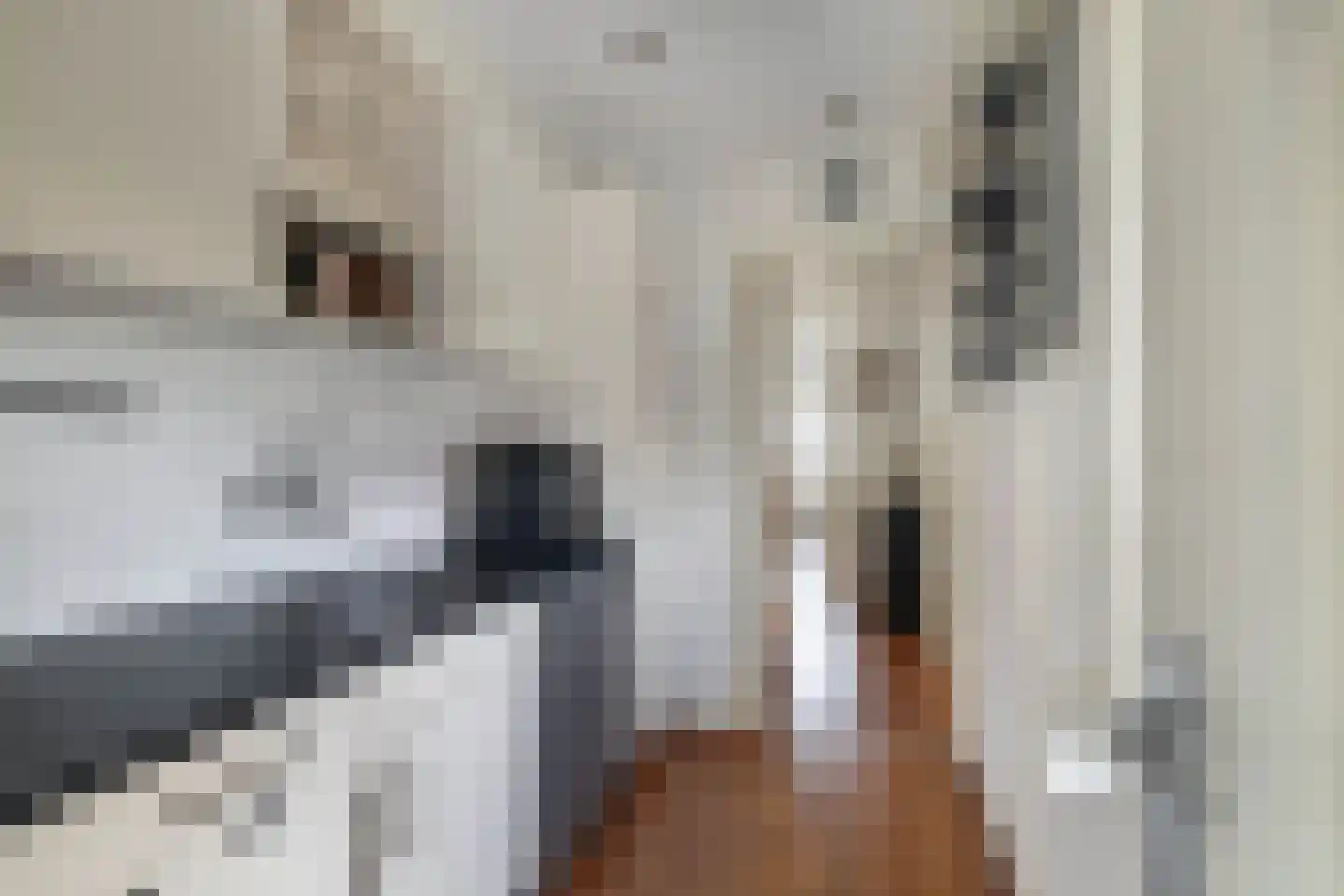 Jan Stapertlaan 1 Franeker thumbnail 23