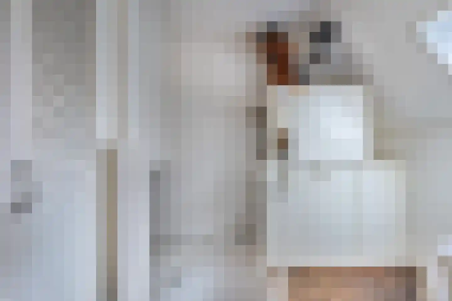 Jan Stapertlaan 1 Franeker thumbnail 36