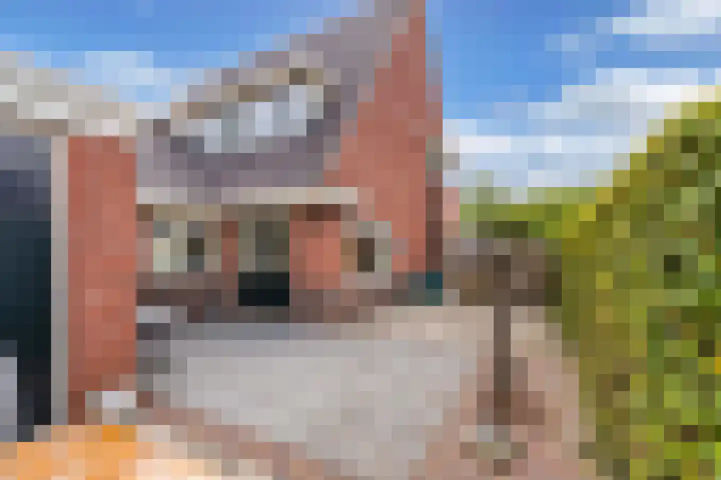 Jan Stapertlaan 1 Franeker thumbnail 43