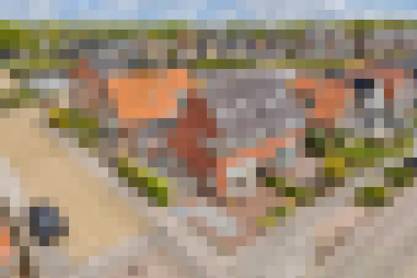 Jan Stapertlaan 1 Franeker thumbnail 9