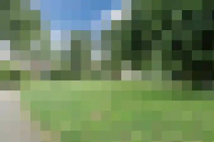Jan Steenhof 41 Nijkerk thumbnail 35