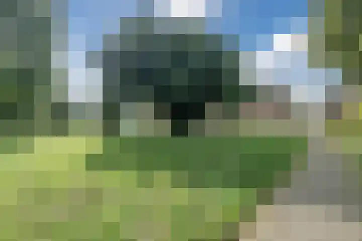 Jan Steenhof 41 Nijkerk thumbnail 36