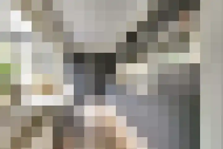 Jan Steenhof 5 Nijkerk thumbnail 10