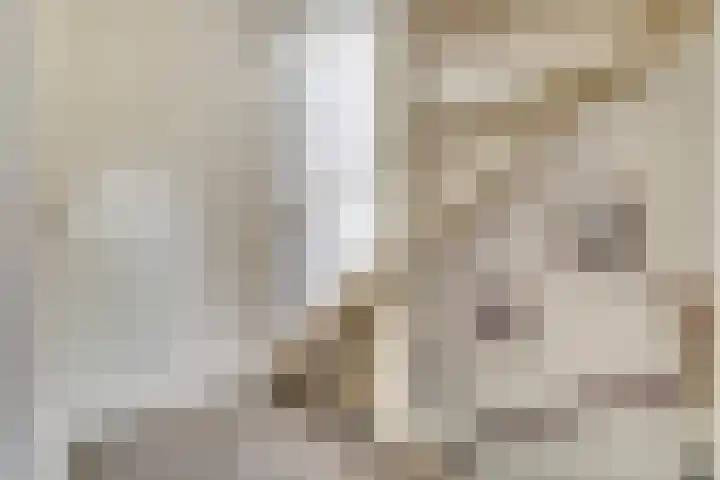 Jan Steenhof 5 Nijkerk thumbnail 16