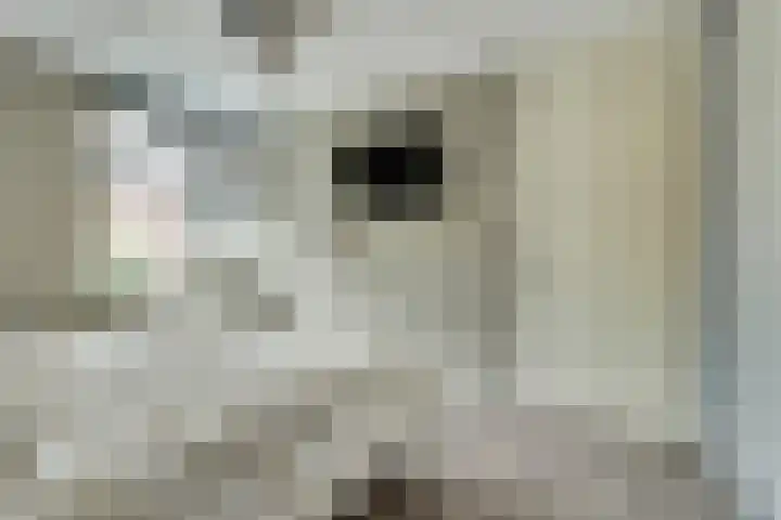 Jan Steenhof 5 Nijkerk thumbnail 18