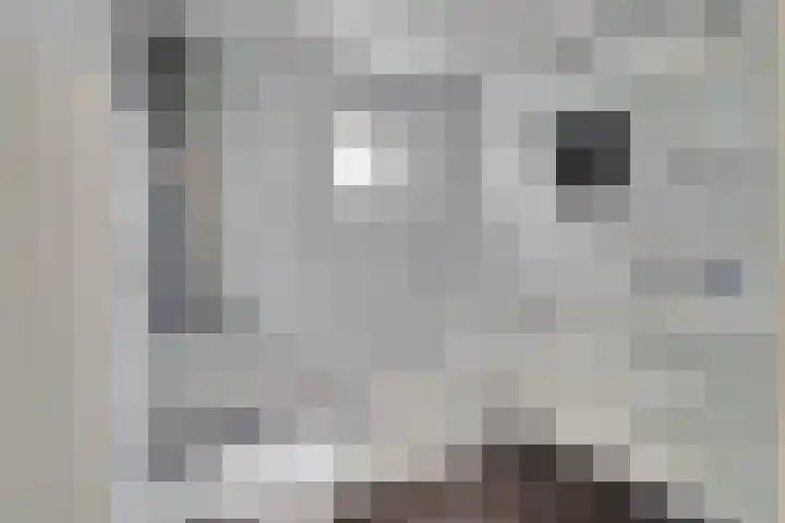 Jan Steenhof 5 Nijkerk thumbnail 19
